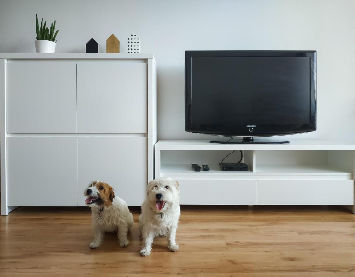 Uroczy Apartament Pod Skarpa فادوفيتسه المظهر الخارجي الصورة